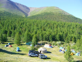 Snow leopard conservation holiday, Altai