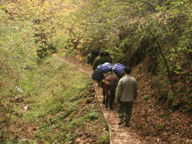 Hike to research station