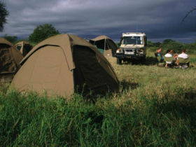 Budget camping safari in Kenya
