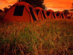 Budget camping safari in Kenya