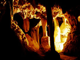 SALT Observatory and South Africa tour