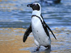 Cape Town & winelands holiday, South Africa tailormade