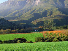 Cape Town & winelands holiday, South Africa tailormade