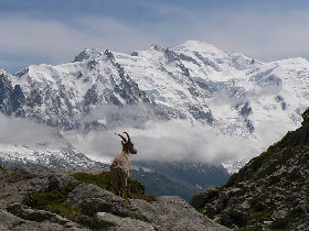 Mont Blanc holiday, Tour du Manc Blanc
