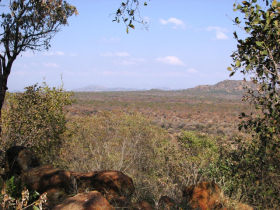 Ranger training in South Africa