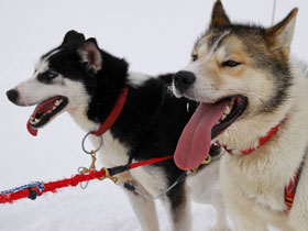 Solar eclipse holiday in the Arctic, Spitzbergen
