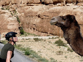 Petra and Wadi Rum by bike, Jordan