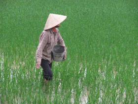 Small group tours to Vietnam and Cambodia