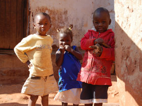 Wildlife volunteering in Malawi, with Zambia safari