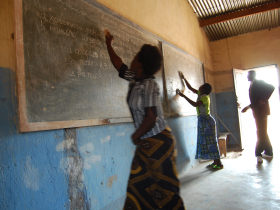 Wildlife volunteering in Malawi, with Zambia safari