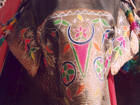 Tailor made Rajasthan holiday