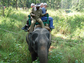 Wildlife photography holiday in India