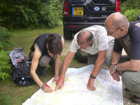 Volunteering taster days in the New Forest