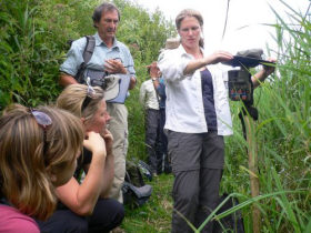 Volunteering taster days in the UK