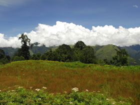 Bhutan tours, tailormade