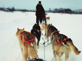 Alaska Northern Lights holiday