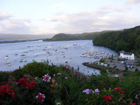 Isle of Mull marine wildlife holiday in Scotland