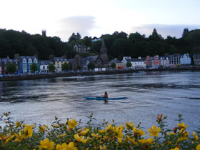Isle of Mull marine wildlife holiday in Scotland