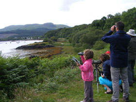 Isle of Mull marine wildlife holiday in Scotland
