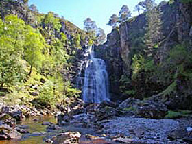 Scottish Highlands wildlife holiday