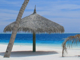 Turtle conservation project in the Maldives