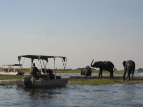 Camping safari in Southern Africa