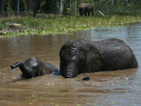 Keisha and Thato enjoying a swim