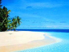 Marine conservation volunteering in the Maldives
