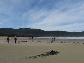 Tasmania conservation holiday, Australia