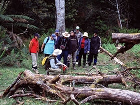 Tasmania conservation holiday, Australia