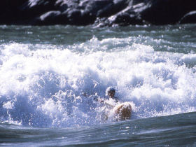 Brahmaputra rafting holiday in India