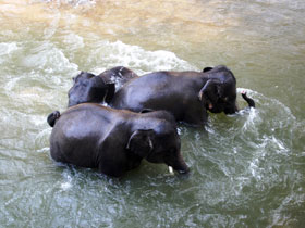 Thailand tailor made holiday