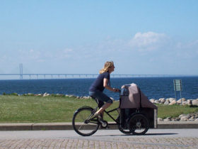 Swedish cultural holiday, Skane province