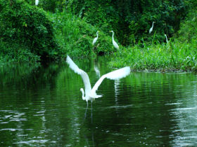Nicaragua adventure holiday, river canoeing expedition