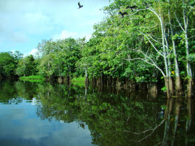 Nicaragua adventure holiday, river canoeing expedition