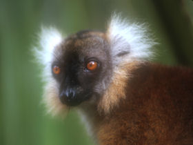 Madagascar family adventure holiday
