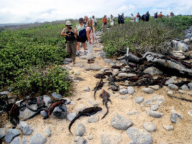 Peru and Galapagos Island holiday