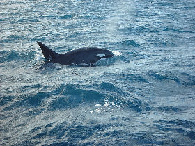 Peru and Galapagos Island holiday
