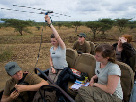 South Africa wildlife reserves conservation expedition