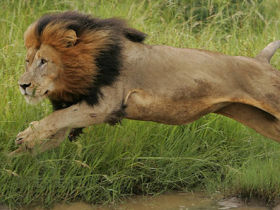 South Africa wildlife reserves conservation expedition