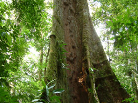 Costa Rica trekking holiday