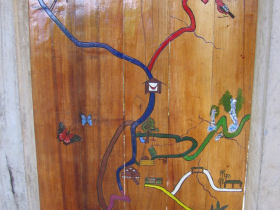 Rainforest conservation volunteering in Ecuador