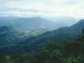 Rainforest conservation volunteering in Ecuador