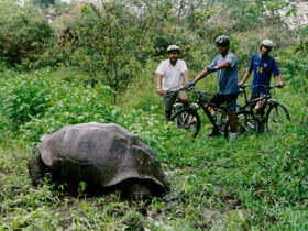 Galapagos activity holiday