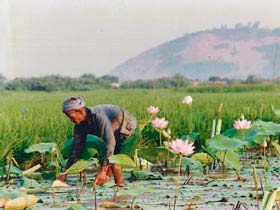 Wheelchair accessible holiday to Cambodia