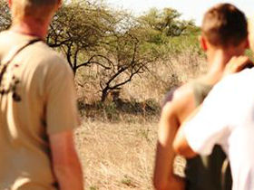 Predator conservation in South Africa