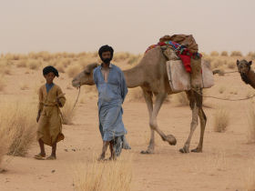 Festival on the desert, tour in Mali