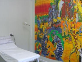 Medical volunteering in South Africa