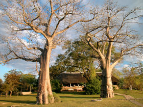 Malawi cultural tour