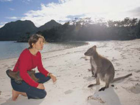 Tasmania coastal walking holiday, Australia